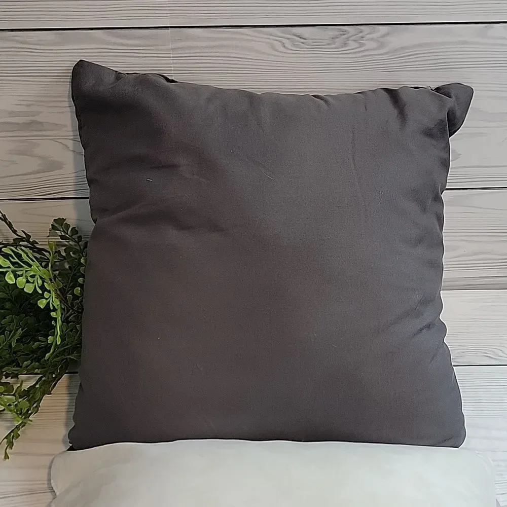 At Home cozy throw pillows set of 2